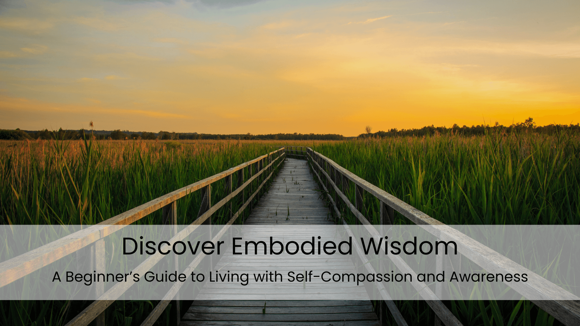 A wooden pathway in a field at sunrise with a white bar with the text Discover Embodied Wisdom: A Beginner's Guide to Living with Self-Compassion and Awareness